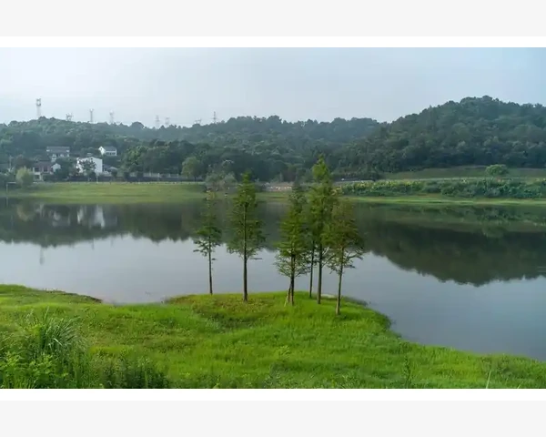 针灸川字纹：缓解疼痛的关键穴位指南
